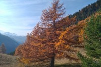 IMG 20181113 112429