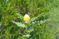 IMG 20190703 142639