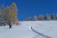 IMG 20191202 123057